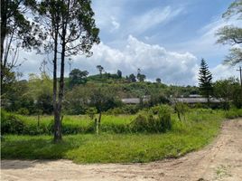  Land for sale in Marinilla, Antioquia, Marinilla