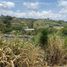  Land for sale in Marinilla, Antioquia, Marinilla