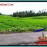  Land for sale in Selemadeg, Tabanan, Selemadeg