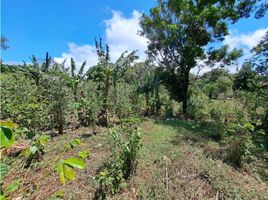  Grundstück zu verkaufen in Boquete, Chiriqui, Palmira