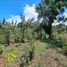  Terrain for sale in Jungla de Panama Wildlife Refuge, Palmira, Palmira