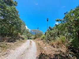  Terrain for sale in Palmira, Boquete, Palmira