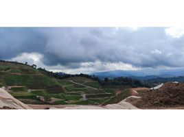 Terrain à vendre à La Ceja, Antioquia, La Ceja, Antioquia