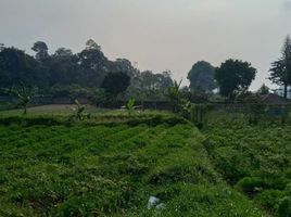  Land for sale in Cilember Waterfall, Cisarua, Cisarua