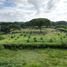  Terreno (Parcela) en venta en Palmira, Valle Del Cauca, Palmira