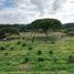  Terreno (Parcela) en venta en Palmira, Valle Del Cauca, Palmira