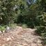  Land for sale in Tzucacab, Yucatan, Tzucacab