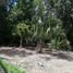  Terreno (Parcela) en venta en Tzucacab, Yucatán, Tzucacab, Yucatán