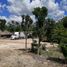  Land for sale in Tzucacab, Yucatan, Tzucacab