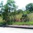  Land for sale in Central Visayas, Talisay City, Cebu, Central Visayas