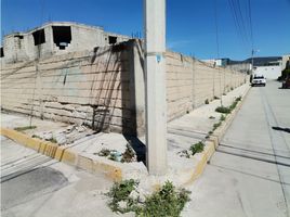  Terreno (Parcela) en venta en San Agustin Tlaxiaca, Hidalgo, San Agustin Tlaxiaca, Hidalgo
