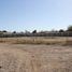  Land for rent in Culiacan, Sinaloa, Culiacan