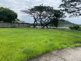  Land for sale in Samborondon, Guayas, Samborondon, Samborondon