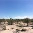  Grundstück zu verkaufen in Torreon, Coahuila, Torreon