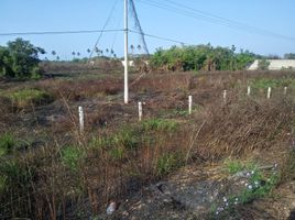  Terrain for sale in Acapulco, Guerrero, Acapulco