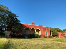  Land for sale in Seye, Yucatan, Seye