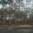  Terreno (Parcela) en venta en Ngaglik, Yogyakarta, Ngaglik