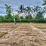  Land for sale in East Jawa, Kepanjen, Malang Regency, East Jawa