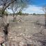  Land for sale in Ezequiel Montes, Queretaro, Ezequiel Montes