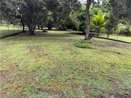  Terreno (Parcela) en venta en San Carlos, Panamá Oeste, Las Uvas, San Carlos