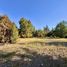  Land for sale in Chile, Colina, Chacabuco, Santiago, Chile