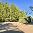  Land for sale in Chile, Colina, Chacabuco, Santiago, Chile