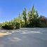  Land for sale in Chile, Colina, Chacabuco, Santiago, Chile