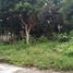  Land for sale in Yogyakarta, Seyegan, Sleman, Yogyakarta