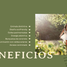  Terreno (Parcela) en venta en Izamal, Yucatán, Izamal