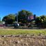  Land for rent in David, Chiriqui, David, David