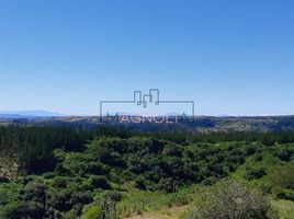  Terreno (Parcela) en venta en Cardenal Caro, Libertador General Bernardo O'Higgins, Navidad, Cardenal Caro
