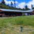  Land for sale in Chile, Hualqui, Concepción, Biobío, Chile