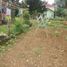  Land for sale in Ciampea, Bogor, Ciampea