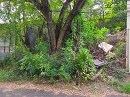  Terreno (Parcela) en venta en Rungkut, East Jawa, Rungkut