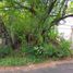  Terreno (Parcela) en venta en Rungkut, East Jawa, Rungkut