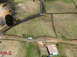  Terreno (Parcela) en venta en El Carmen, Norte De Santander, El Carmen