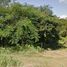  Terreno (Parcela) en venta en Valladolid, Yucatán, Valladolid