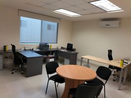 15 m² Office for rent in Monterrey, Nuevo Leon, Monterrey