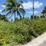  Terreno (Parcela) en venta en Ixil, Yucatán, Ixil, Yucatán