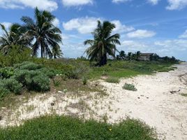  Terreno (Parcela) en venta en Ixil, Yucatán, Ixil, Yucatán