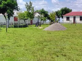  Land for sale in Dom Pedrito, Rio Grande do Sul, N 9, Dom Pedrito