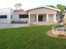 952 m² Office for sale in Merida, Yucatan, Merida