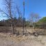  Land for sale in Chile, Pirque, Cordillera, Santiago, Chile