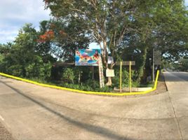  Land for sale in Puerto Princesa City, Mimaropa, Puerto Princesa City, Palawan, Mimaropa