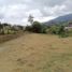  Land for sale in El Carmen De Viboral, Antioquia, El Carmen De Viboral