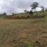  Land for sale in El Carmen De Viboral, Antioquia, El Carmen De Viboral