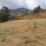  Land for sale in El Carmen De Viboral, Antioquia, El Carmen De Viboral