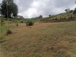  Land for sale in El Carmen De Viboral, Antioquia, El Carmen De Viboral