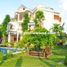 6 chambre Villa for sale in Thao Dien, District 2, Thao Dien