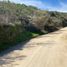  Land for sale in Valparaiso, Hijuelas, Quillota, Valparaiso
